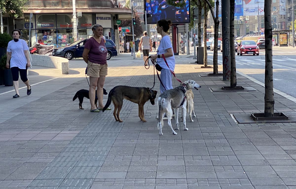 Cod roșu la Belgrad » Reportaj GSP din orașul unde CFR Cluj își joacă viitorul: cele mai tari curiozități