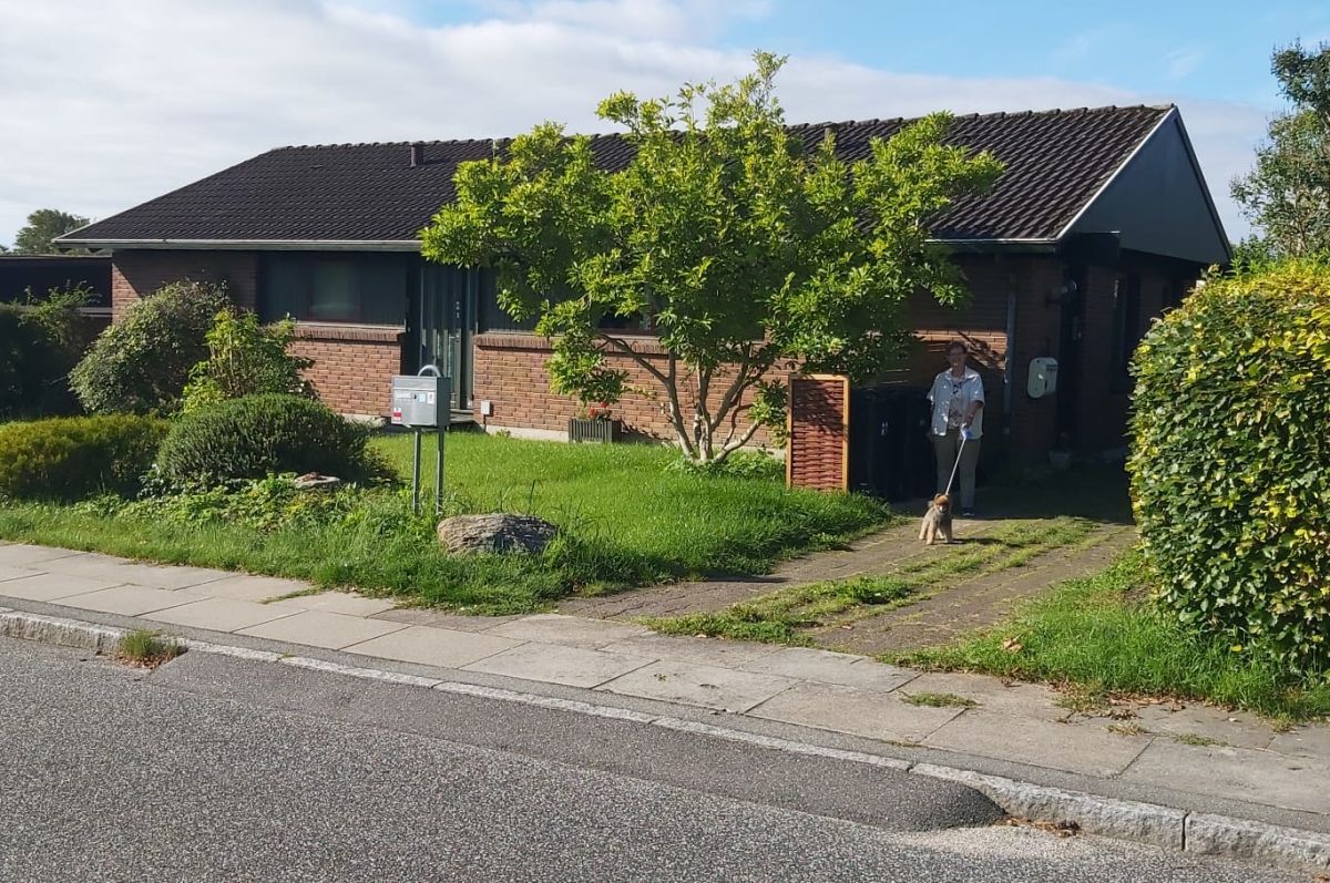 Farum, o altă lume, o oază de liniște