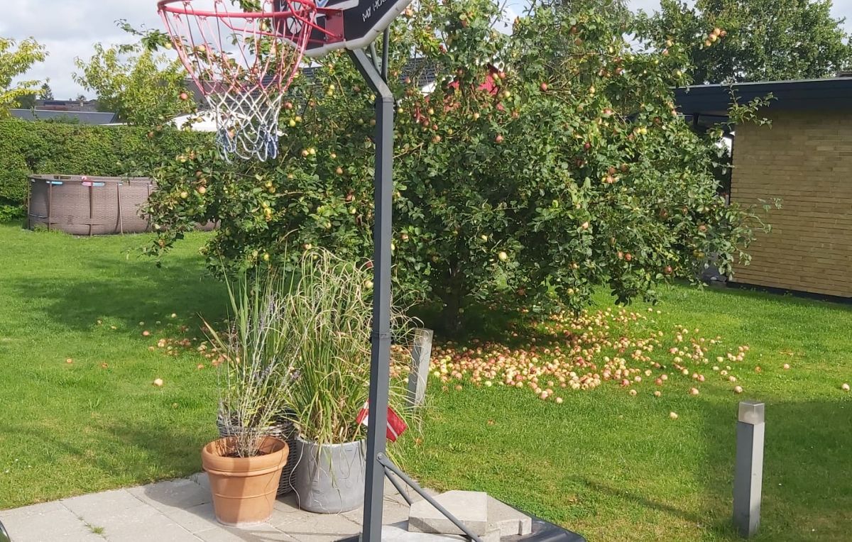 Portofelul nostru nu-i făcut pentru Nord » Reporterii GSP au comparat prețurile din România cu cele din Danemarca: cola, berea și taxiul te lasă cu buzunarele goale