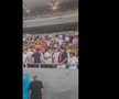 Scandal după Dinamo - UTA » Jandarmeria caută un suporter