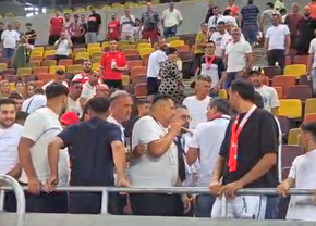 Scandal după Dinamo - UTA » Jandarmeria caută un suporter