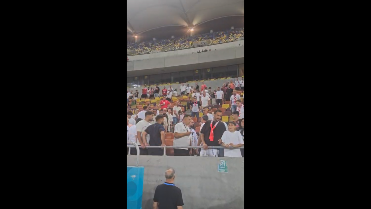 Scandal după Dinamo - UTA » Jandarmeria caută un suporter