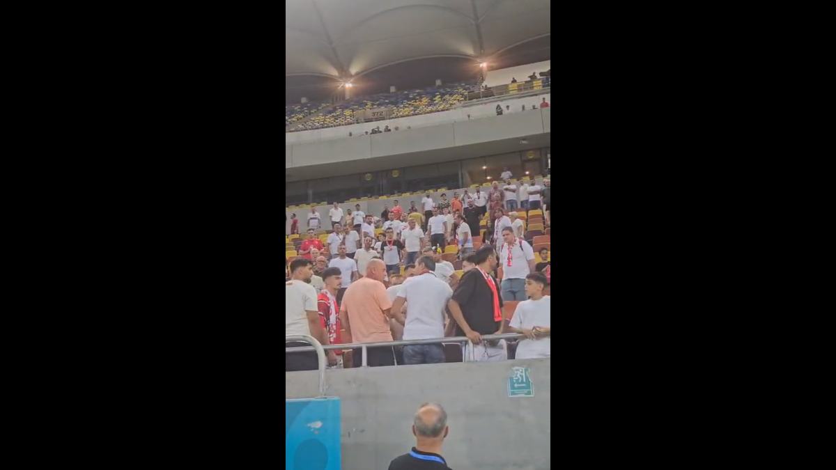 Scandal după Dinamo - UTA » Jandarmeria caută un suporter