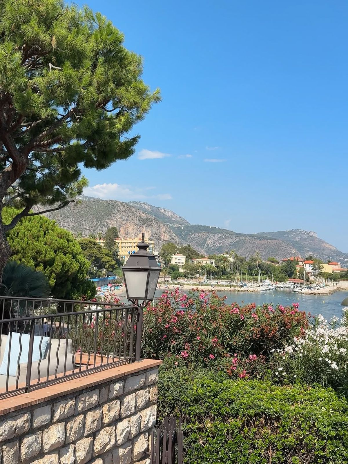 Propunere în direct pentru Simona Țăranu: „Cea mai potrivită! Jur!”