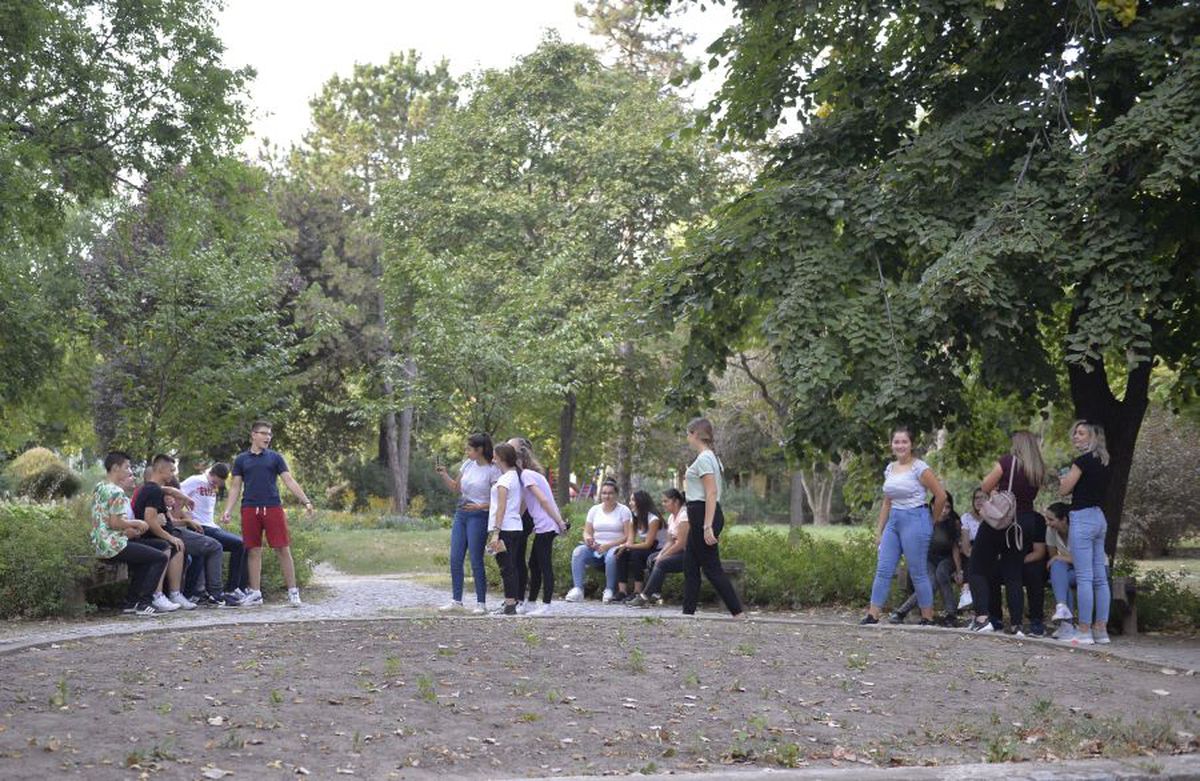 Senta - locul unde se joacă Topola - FCSB