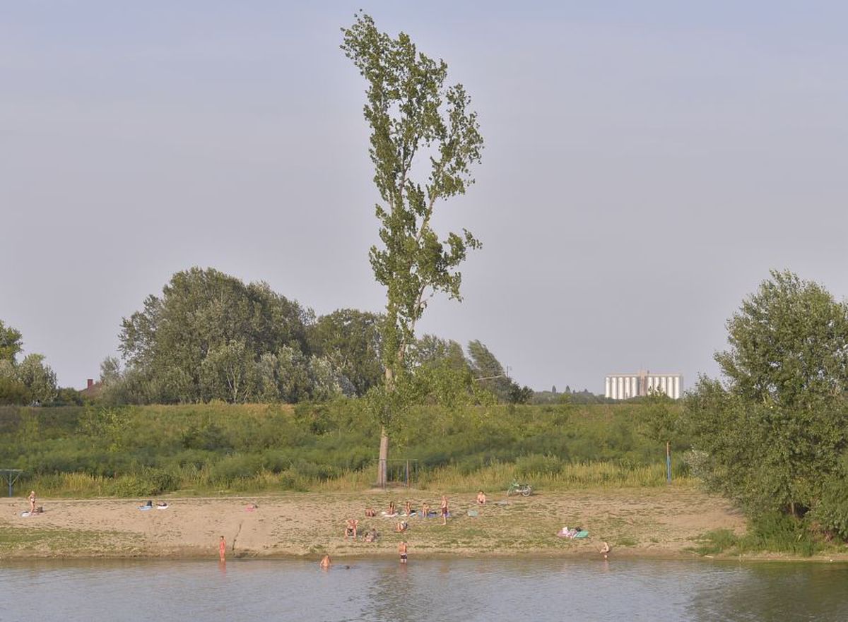 Senta - locul unde se joacă Topola - FCSB
