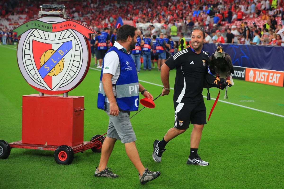 Benfica - Qarabag, cadre de Ionuț Iordache