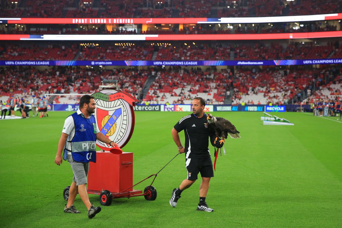 Benfica - Qarabag, cadre de Ionuț Iordache