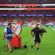 Benfica - Qarabag, cadre de Ionuț Iordache (GSP)