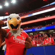 Benfica - Qarabag, cadre de Ionuț Iordache (GSP)