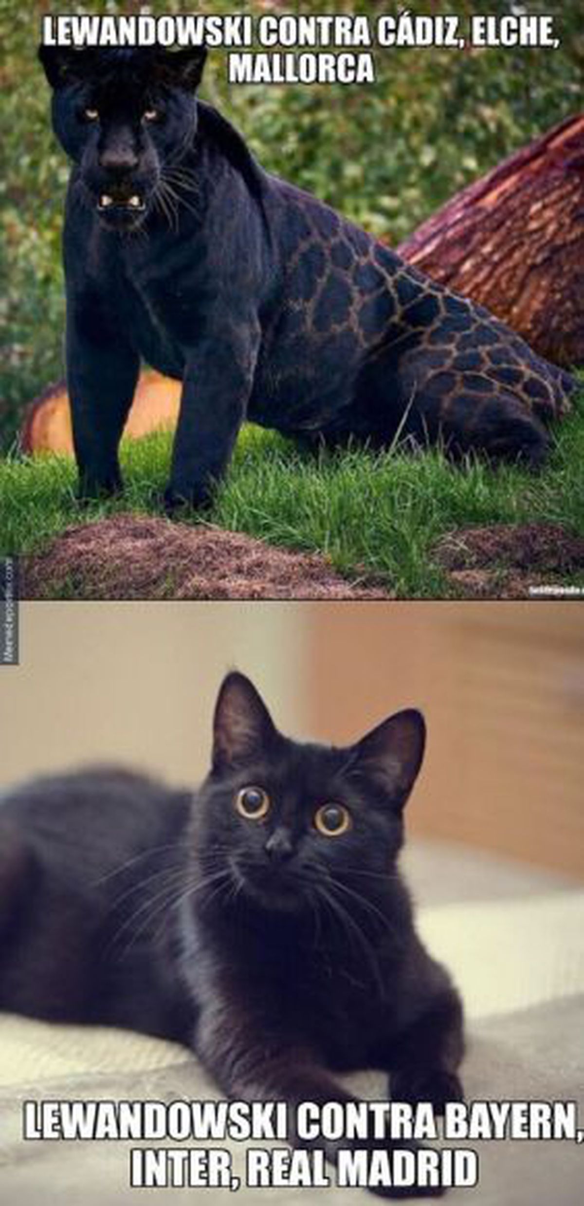Real Madrid - Barcelona. Cele mai tari meme-uri