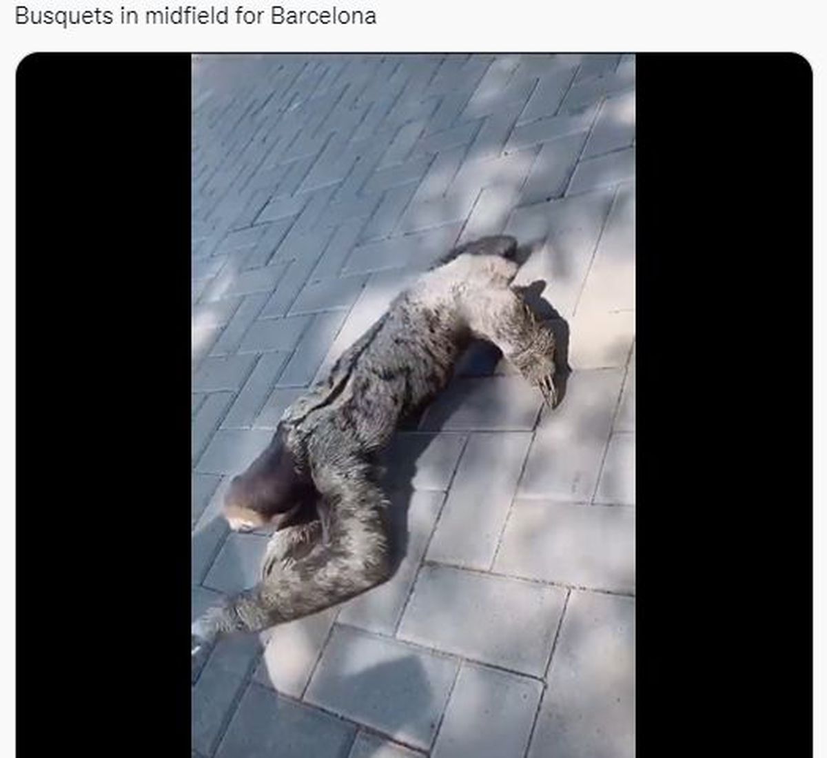 Real Madrid - Barcelona. Cele mai tari meme-uri