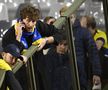 Imaginile dramatice surprinse în tribune, în momentul în care fanii suedezi au aflat că doi compatrioți de-ai lor au fost uciși / Sursă foto: Imago Images