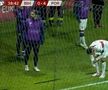 FOTO Ronaldo, atacat de un spectator intrat pe teren în Bosnia - Portugalia