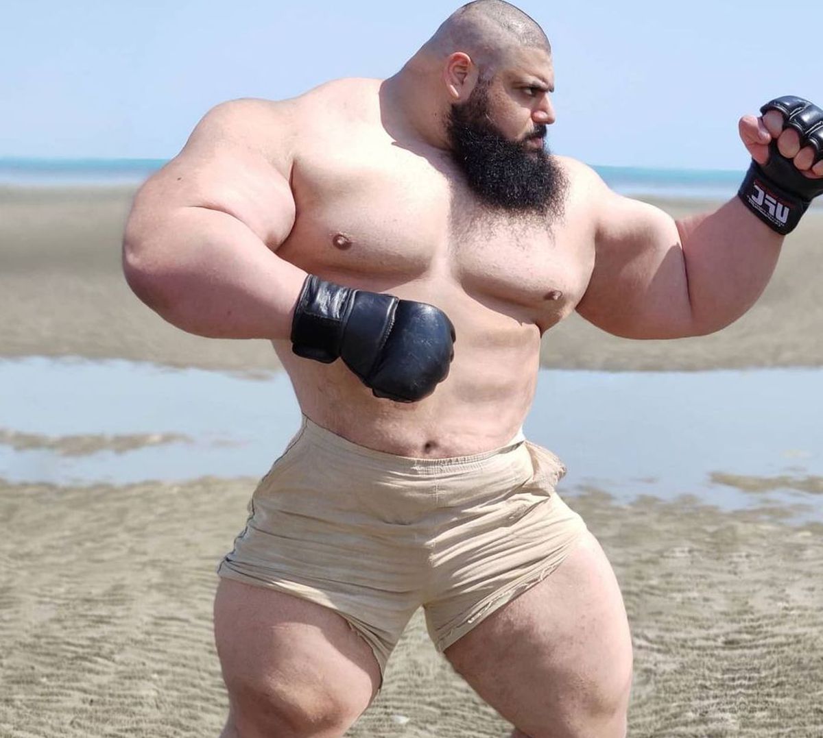 Lupta luptelor s-a amânat. „Cel mai înfricoșător om din lume” nu se va bate cu „Hulk iranianul”