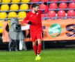 FC Voluntari - Chindia Târgoviște. foto: Cristi Preda (fotoreporter Gazeta Sporturilor)