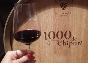Ce legătură au „sforile” cu vinul FN14 de la crama „1000 de Chipuri” din Dealu Mare şi cum poţi produce, stând acasă, un butoi cu vin premium