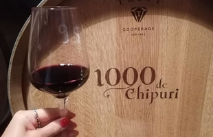 Ce legătură au „sforile” cu vinul FN14 de la crama „1000 de Chipuri” din Dealu Mare şi cum poţi produce, stând acasă, un butoi cu vin premium