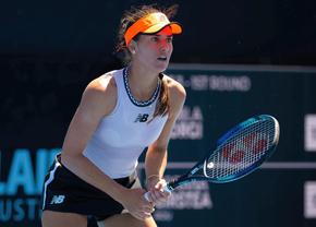 Sorana Cîrstea - Yulia Putintseva, reluat după două ore de întrerupere