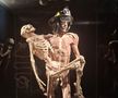 Expoziția Body Worlds Vitals de la București