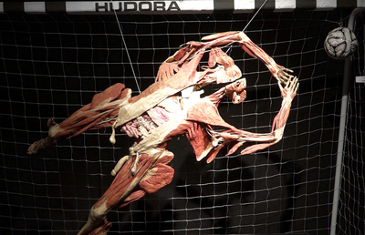 Știință pură și șocantă la București » Controversata expoziție de cadavre plastinate „BODY WORLDS Vital” prezintă corpul omenesc în cele mai mici amănunte, cu exemple din lumea sportului