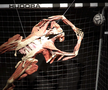 Unul dintre exemplarele plastinate de la expoziția BODY WORLDS Vital reprezintă un portar de fotbal, care-și arată mușchii, oasele și organele interne Foto: Oana Dușmănescu