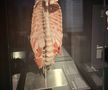 Știință pură și șocantă la București » Controversata expoziție de cadavre plastinate „BODY WORLDS Vital” prezintă corpul omenesc în cele mai mici amănunte, cu exemple din lumea sportului