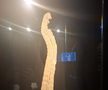 Expoziția Body Worlds Vitals de la București