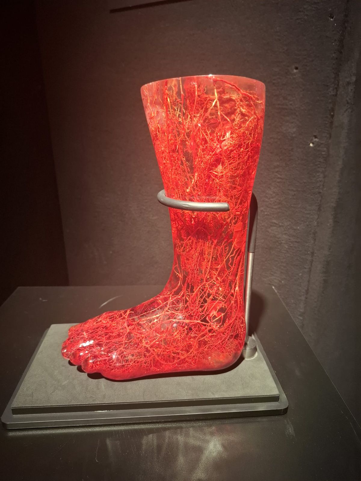 Știință pură și șocantă la București » Controversata expoziție de cadavre plastinate „BODY WORLDS Vital” prezintă corpul omenesc în cele mai mici amănunte, cu exemple din lumea sportului