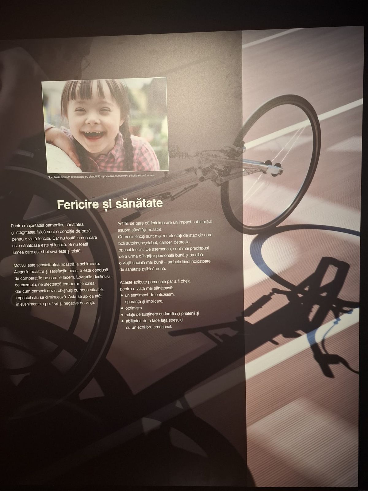 Expoziția Body Worlds Vitals de la București