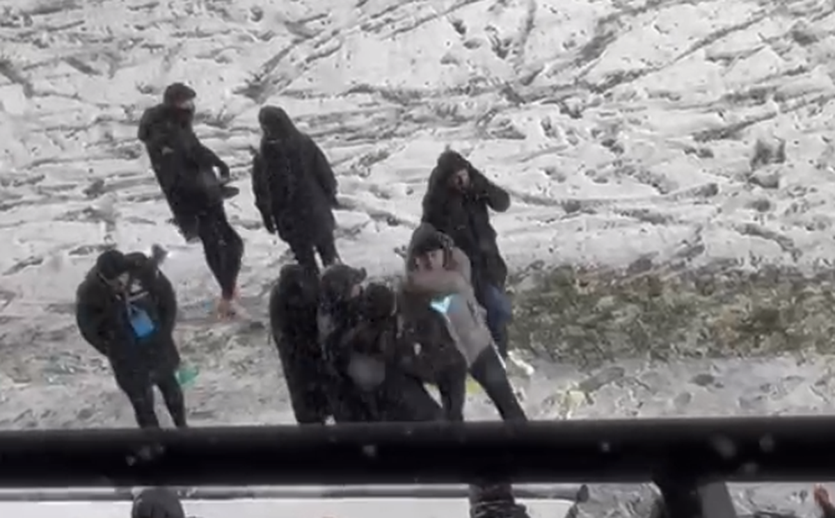 Și-au demis antrenorul și presa locală îl anunță înlocuitor pe Marius Șumudică » Detaliile obținute de GSP: Șucu îl vrea pe Edi Iordănescu, dar are și planul B