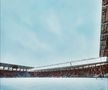 Așa arată Giuleștiul cu 8 ore înainte de Rapid – FC Botoșani