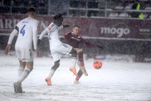 Rapid - FC Botoșani, în epilogul etapei #27 din Superliga » Șumudică a luat „galben” în secunda 30