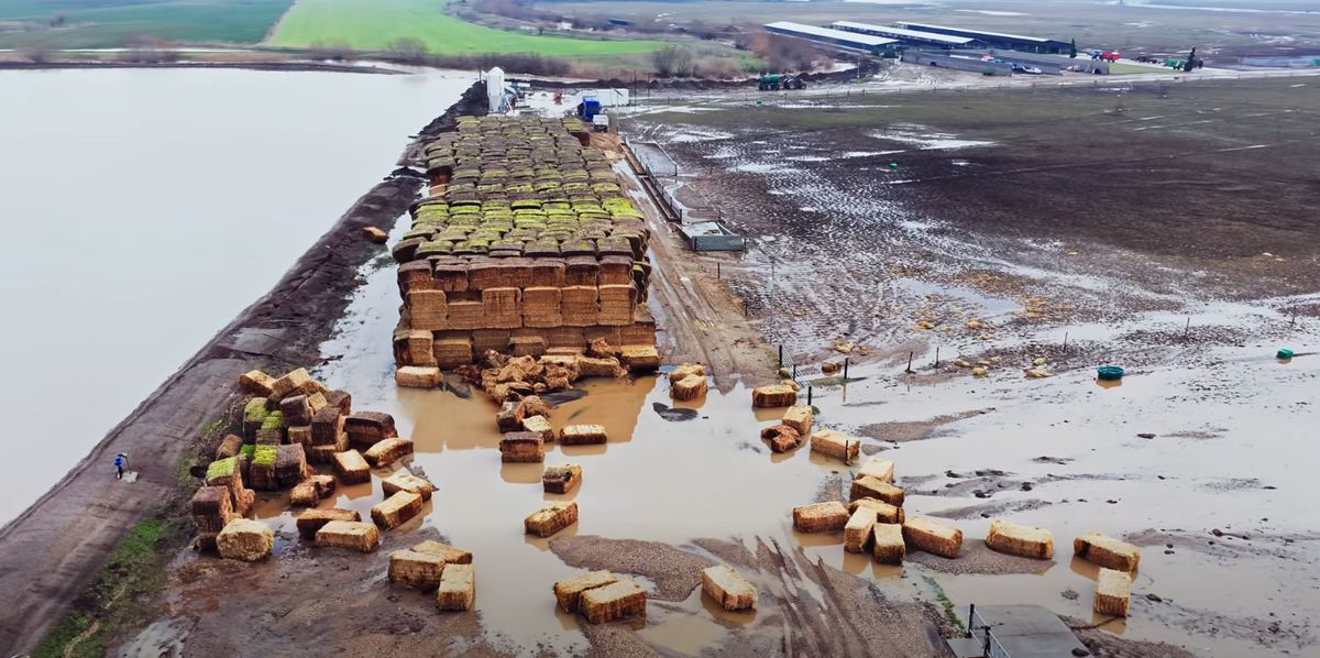 Ferma lui Gigi Nețoiu a fost inundată