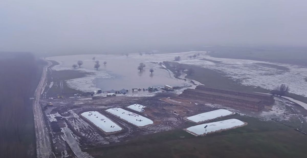 Ferma lui Gigi Nețoiu a fost inundată