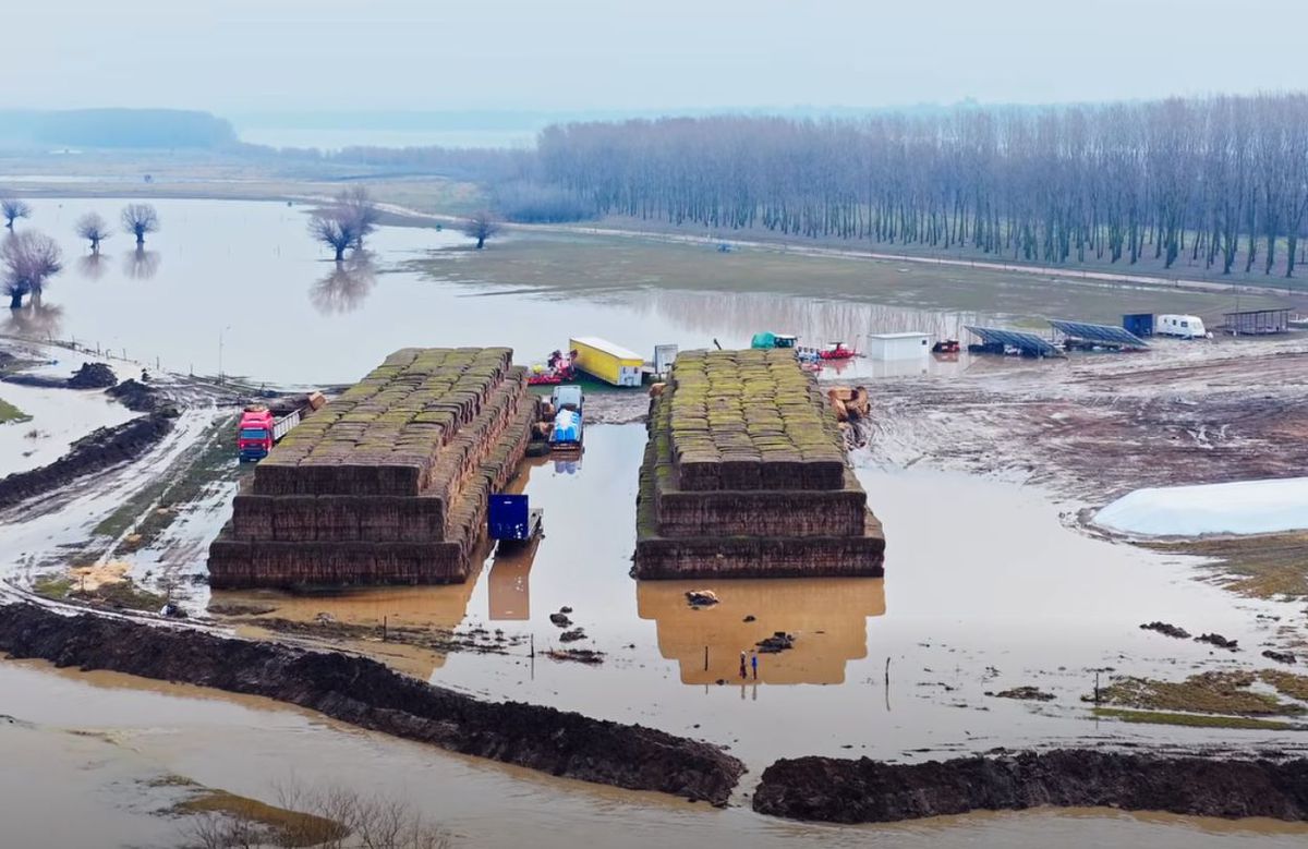 Ferma lui Gigi Nețoiu a fost inundată