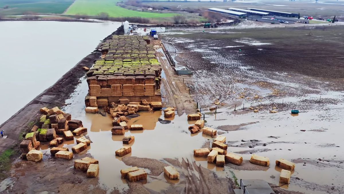 Dezastru pentru Gigi Nețoiu! Merge la tribunal, după ce investiția de 6 milioane de euro a fost distrusă