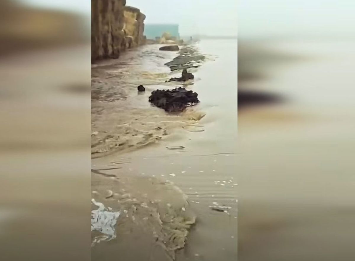 Ferma lui Gigi Nețoiu a fost inundată