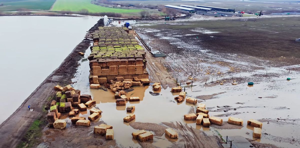 Ferma lui Gigi Nețoiu a fost inundată