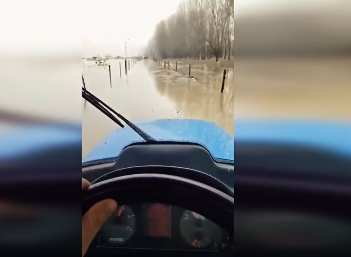 Ferma lui Gigi Nețoiu a fost inundată