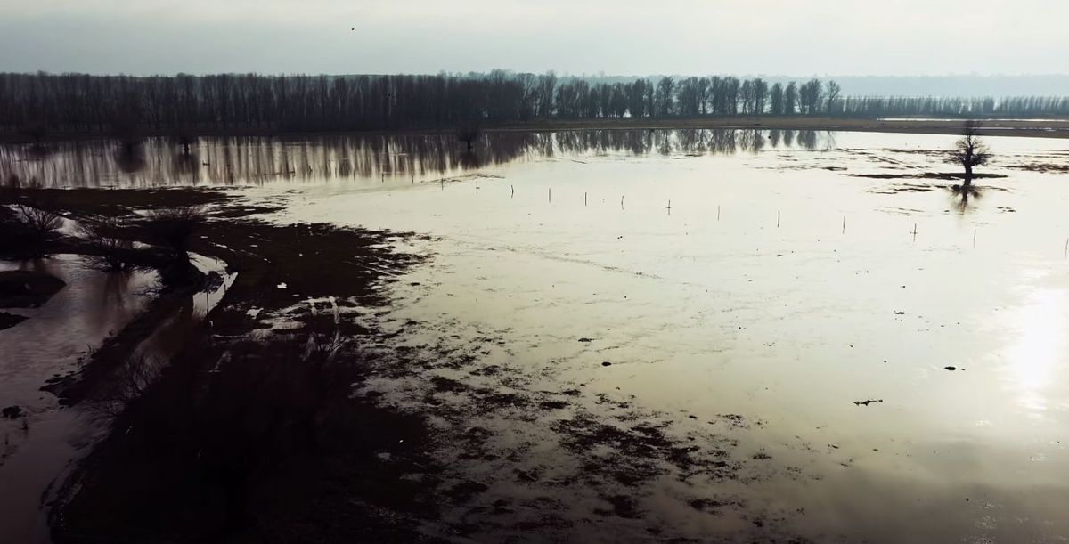 Dezastru pentru Gigi Nețoiu! Merge la tribunal, după ce investiția de 6 milioane de euro a fost distrusă