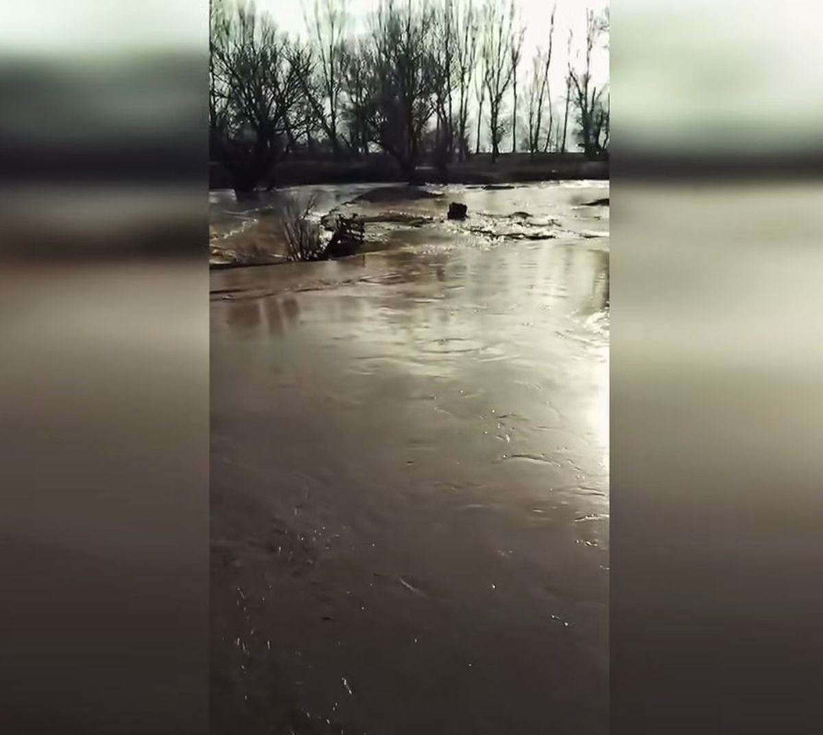 Ferma lui Gigi Nețoiu a fost inundată