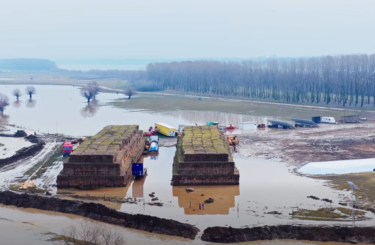 Ferma lui Gigi Nețoiu a fost inundată