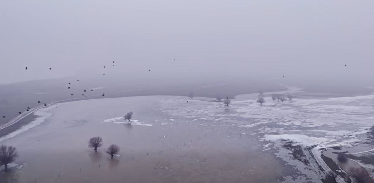 Ferma lui Gigi Nețoiu a fost inundată