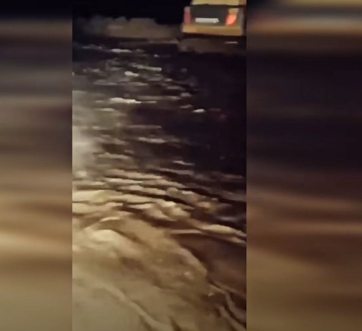 Ferma lui Gigi Nețoiu a fost inundată