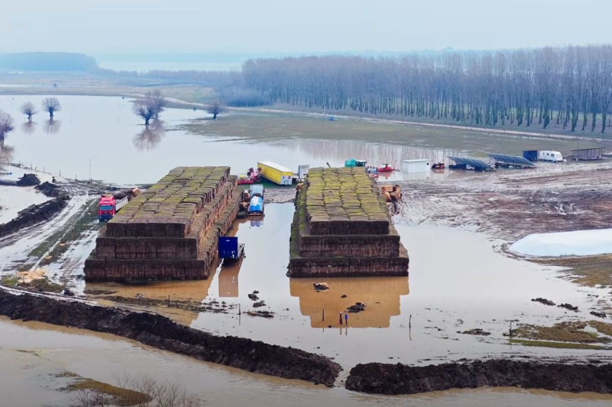 Dezastru pentru Gigi Nețoiu! Merge la tribunal, după ce investiția de 6 milioane de euro a fost distrusă