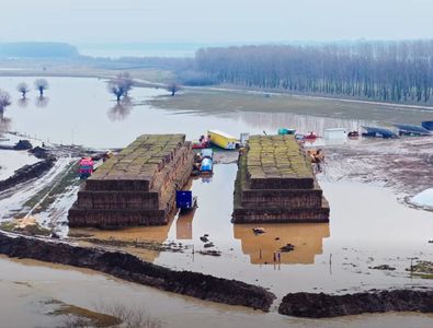 Dezastru pentru Gigi Nețoiu! Merge la tribunal, după ce investiția de 6 ...