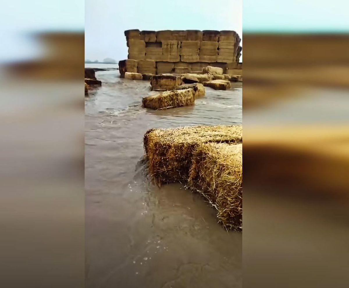 Ferma lui Gigi Nețoiu a fost inundată