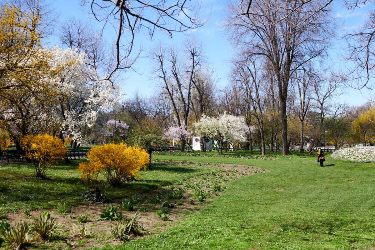 14.000 de case de pariuri se închid, plus alte 15.000 de agenții cu „păcănele"! Anunțul făcut în această seară