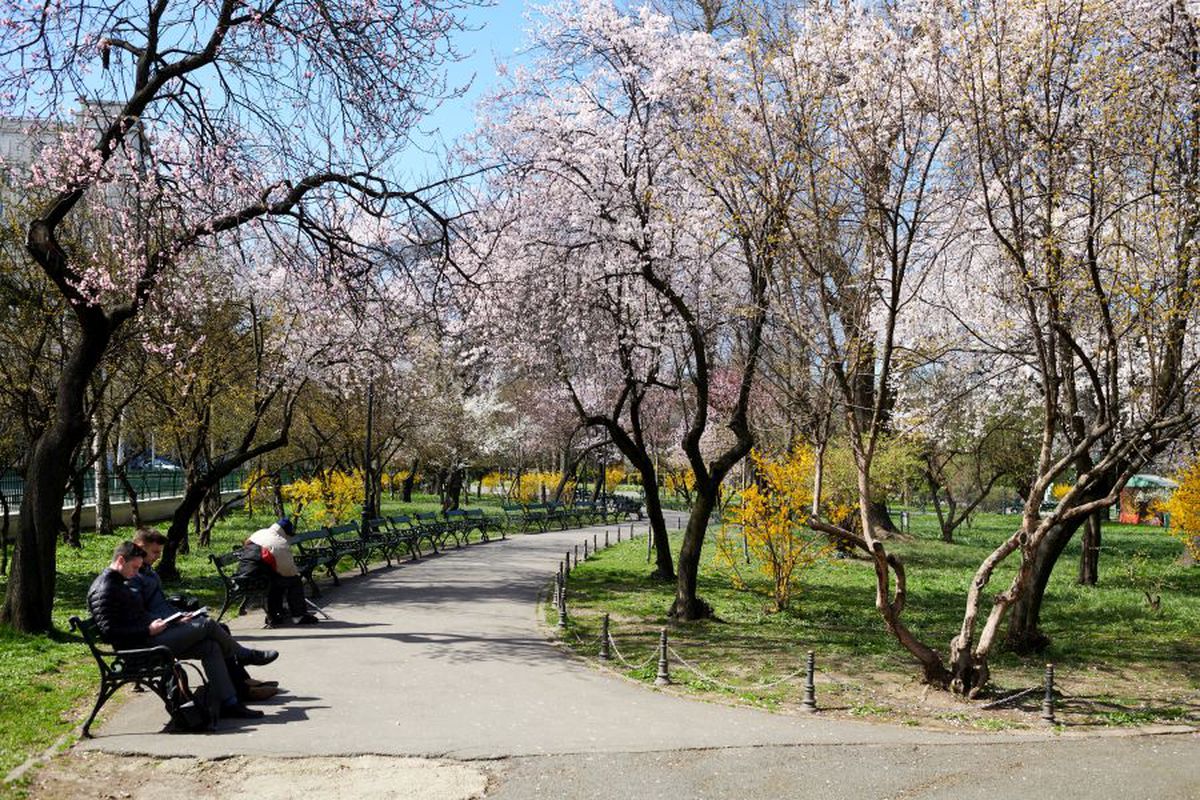 14.000 de case de pariuri se închid, plus alte 15.000 de agenții cu „păcănele"! Anunțul făcut în această seară